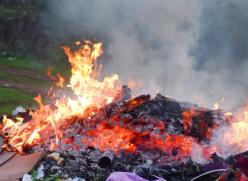 Bonfire