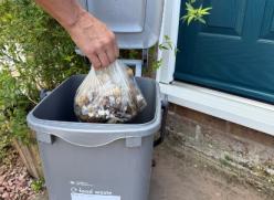 Food waste 