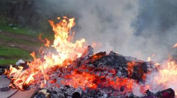 Bonfire image