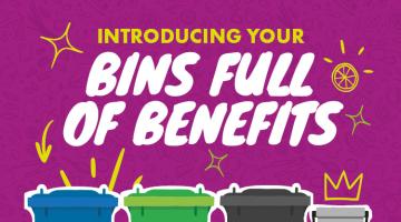 Introducing your bins full of benefits